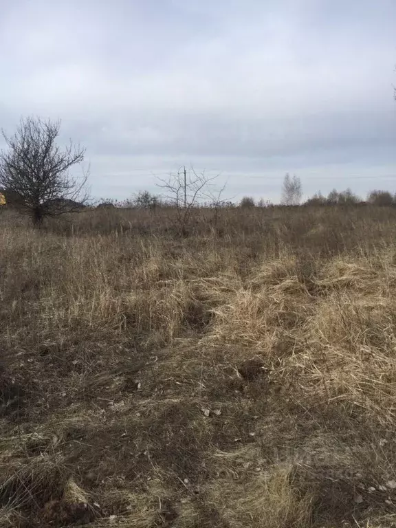 Участок в Московская область, Серебряные Пруды пгт ул. Свободная ... - Фото 0