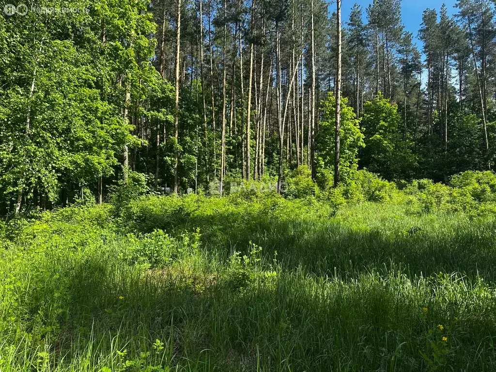 Участок в Пензенский район, Богословский сельсовет, село Малая ... - Фото 0