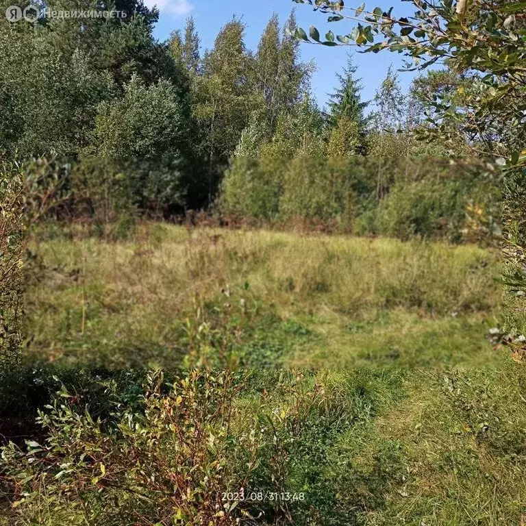 Участок в Тосно, товарищество собственников недвижимости Речное (11 м) - Фото 2