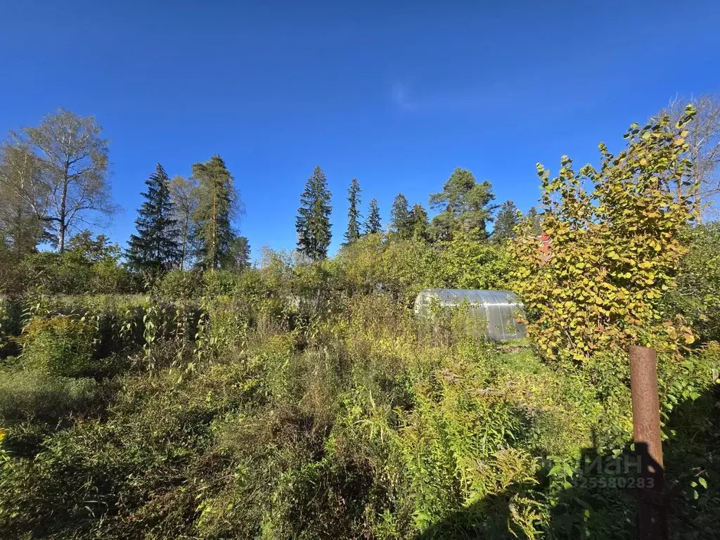 Участок в Ленинградская область, Гатчинский муниципальный округ, ... - Фото 2