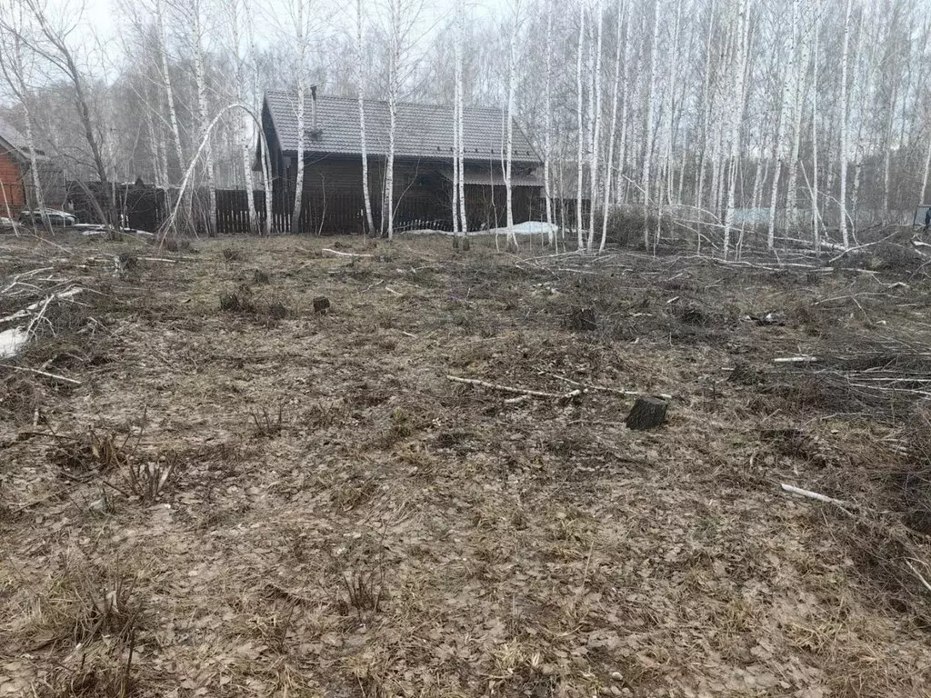 Участок в Каменский сельсовет, СНТ Иня-НАПО (10 м) - Фото 0