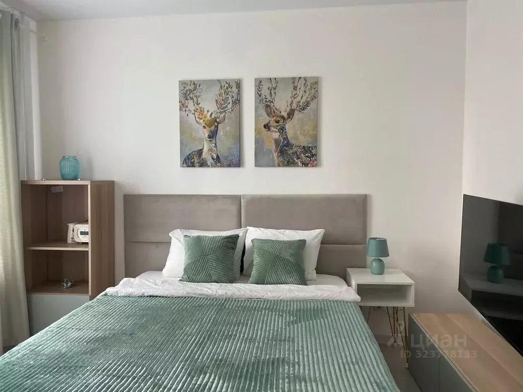 Студия Ленинградская область, Гатчина ул. Чехова, 43 (28.0 м) - Фото 1