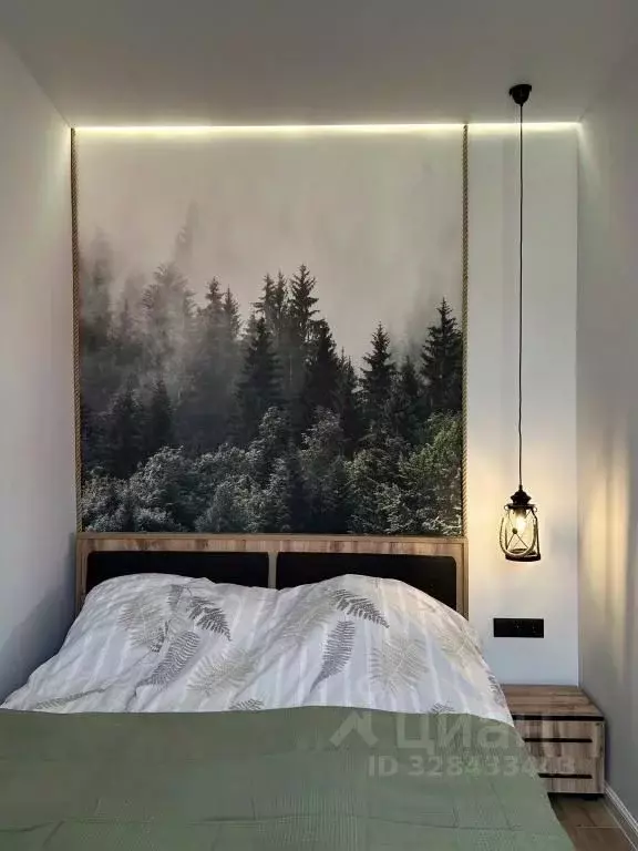 2-к кв. Калининградская область, Советск ул. М. Горького, 6А (20.0 м) - Фото 2