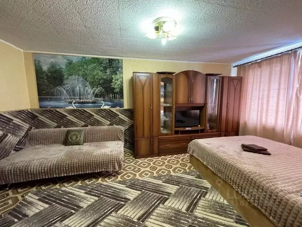 1-к кв. Нижегородская область, Дзержинск просп. Чкалова, 51 (30.0 м) - Фото 1