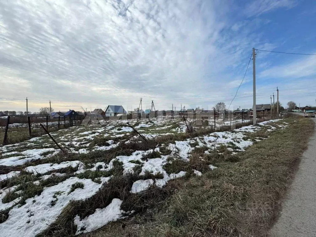 Участок в Новосибирская область, Колыванский район, д. Воробьево ... - Фото 2