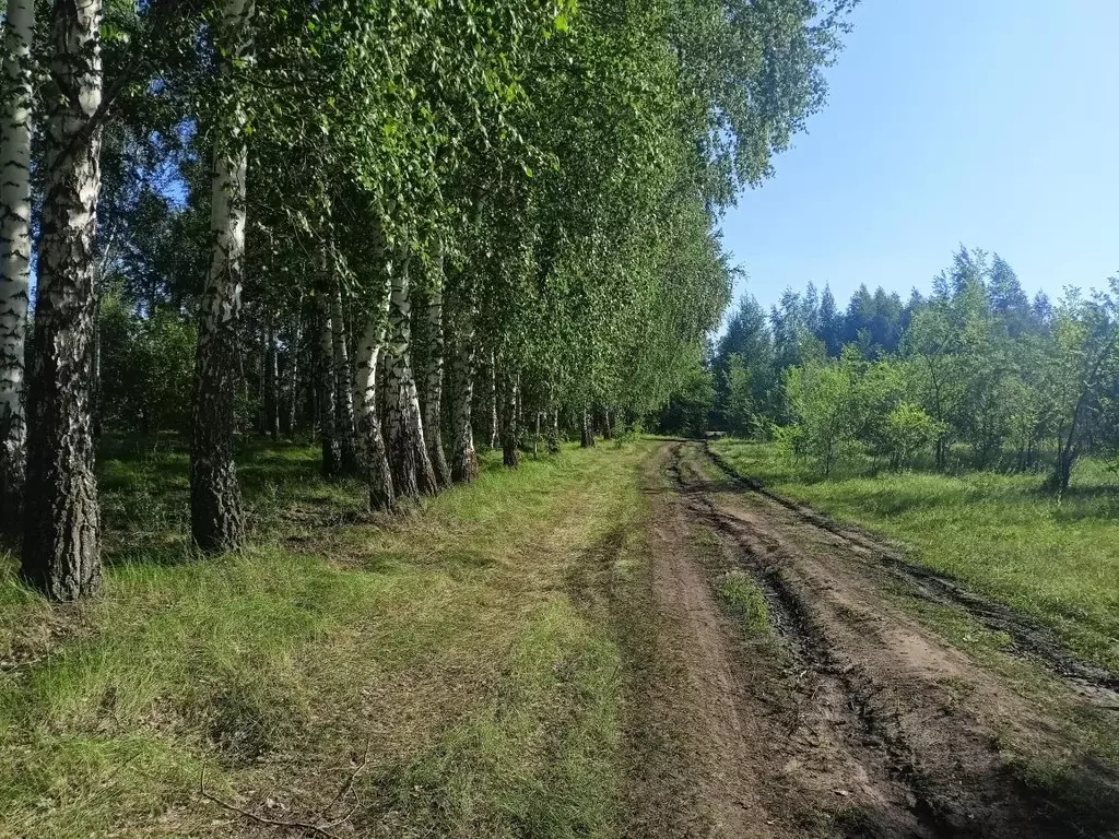 Участок в Самарская область, Кинельский с/пос, пос. Кинельский  (10.0 ... - Фото 2