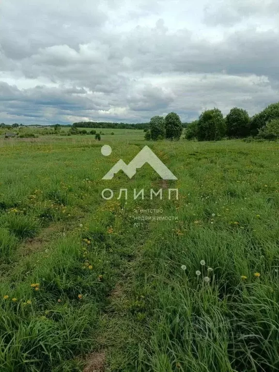 Участок в Вологодская область, пос. Грибково  (14.0 сот.) - Фото 1