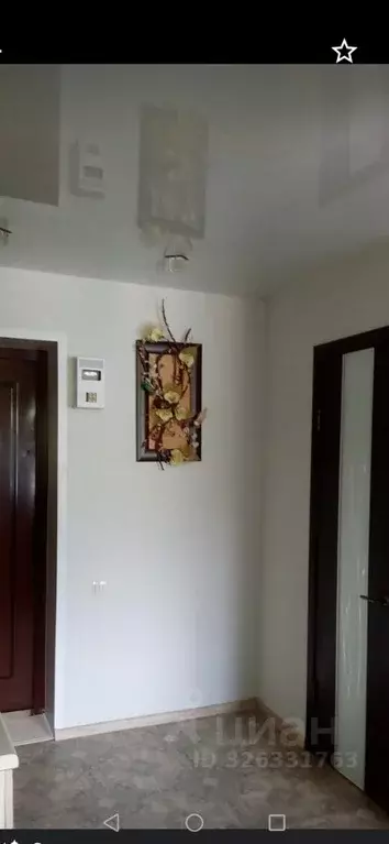 1-к кв. Саратовская область, Балашов Спортивная ул., 8 (25.5 м) - Фото 1