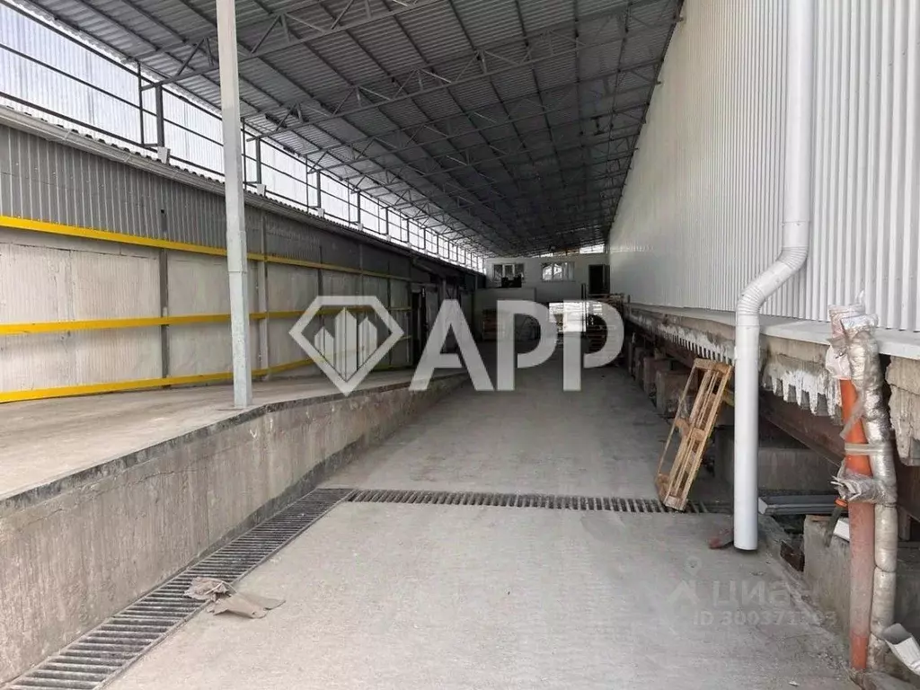 Склад в Краснодарский край, Новороссийск городской округ, с. Гайдук ш. ... - Фото 1