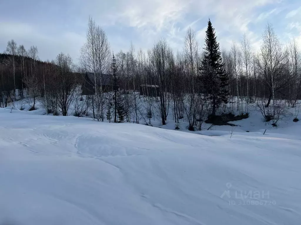 Участок в Кемеровская область, Таштагол Красногвардейская ул. (15.0 ... - Фото 1