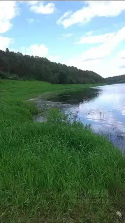 Участок в Тверская область, Старицкий муниципальный округ, д. ... - Фото 0