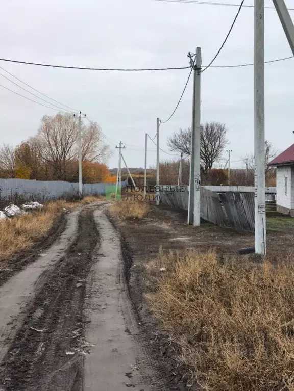 Участок в Белгородская область, Белгородский район, Северный городское ... - Фото 2