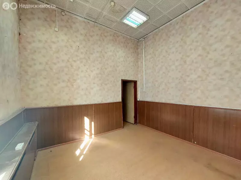 Торговая площадь (43.6 м) - Фото 1