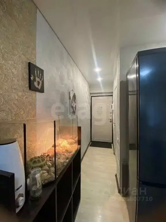 Студия Самарская область, Самара просп. Кирова, 71 (19.0 м) - Фото 1