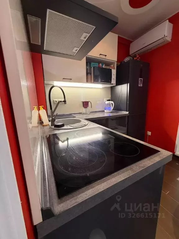 Студия Московская область, Богородский городской округ, д. Щемилово ... - Фото 2