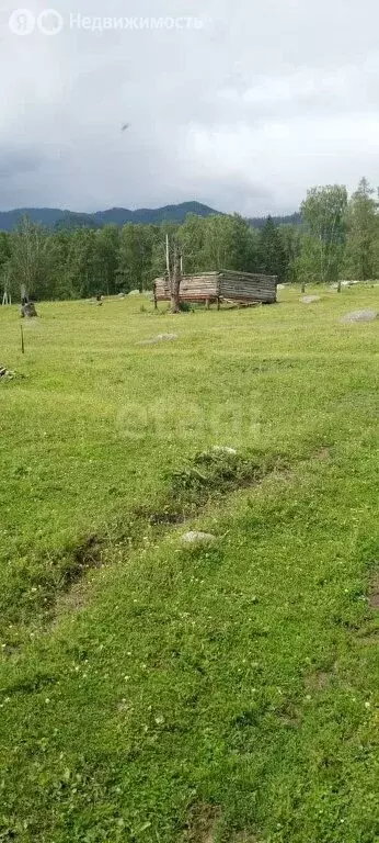 Участок в Усть-Коксинский район, посёлок Кучерла (20 м) - Фото 0
