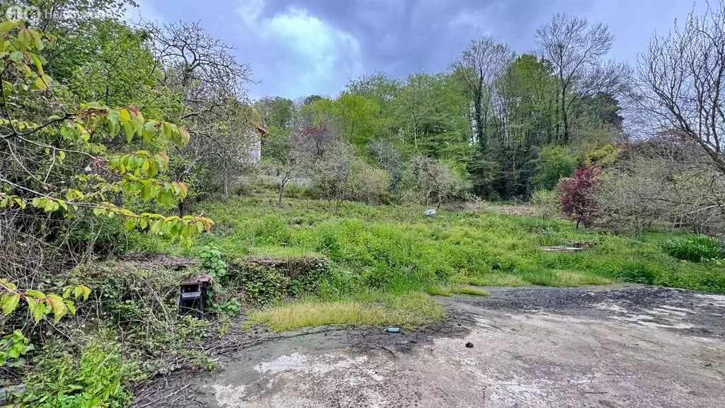 Участок в село Волковка, улица Передовиков (16 м) - Фото 1