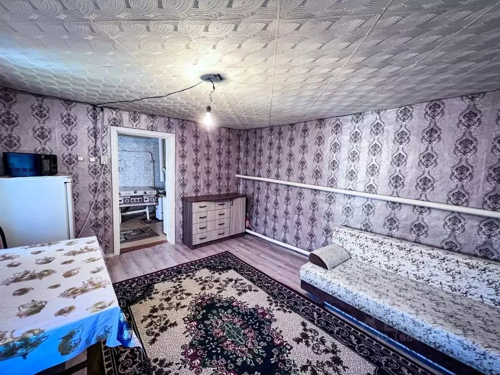 Дом в Оренбургская область, пос. Саракташ пер. Тупой, 8 (46 м) - Фото 1