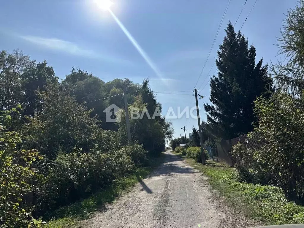 Участок в Владимирская область, Суздальский район, Новоалександровское ... - Фото 1