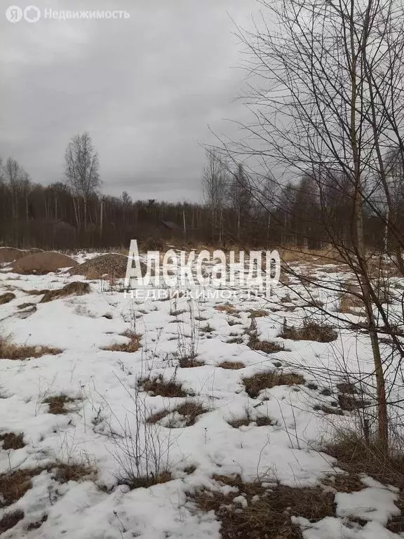 Участок в Выборгский район, Гончаровское сельское поселение (10 м) - Фото 0