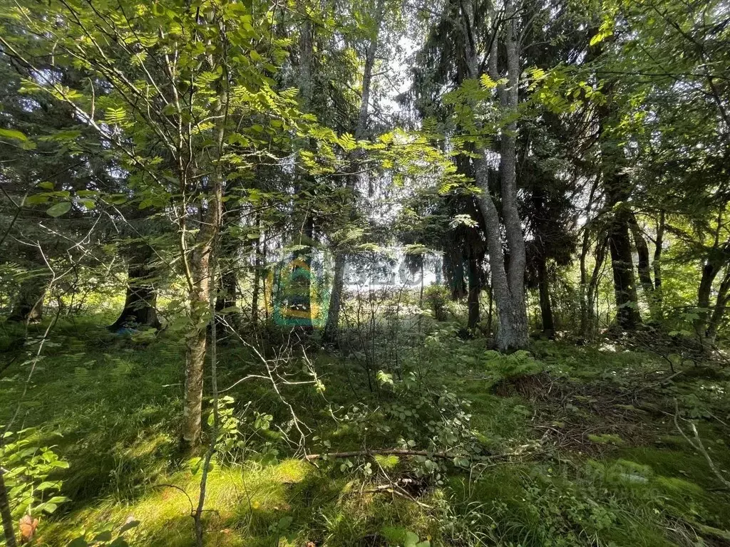 Участок в Ленинградская область, Приозерский район, Плодовское с/пос, ... - Фото 1