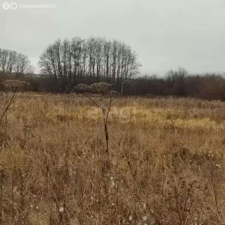 Участок в Пермский край, Ильинский муниципальный округ, деревня ... - Фото 1