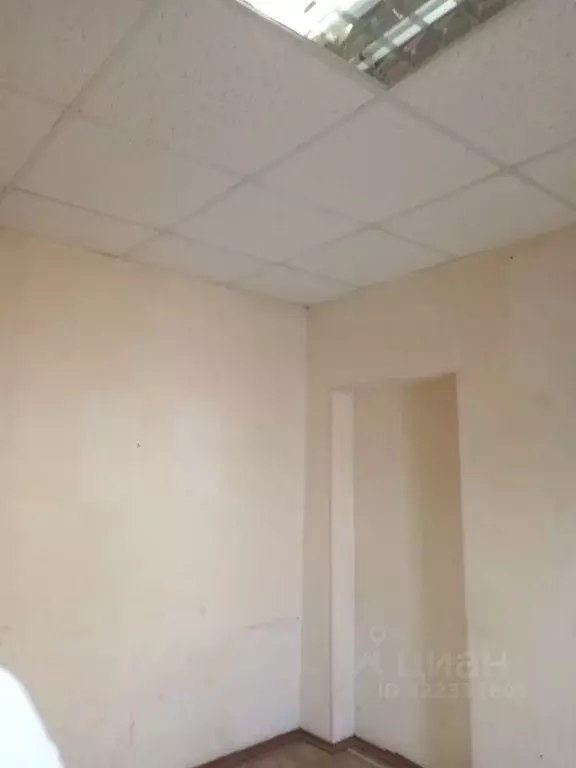 Помещение свободного назначения в Оренбургская область, Оренбург ... - Фото 2