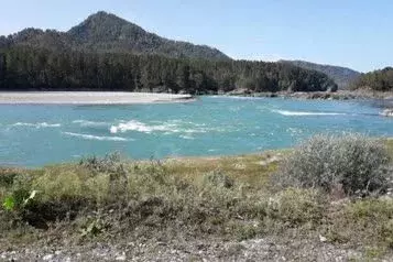 Дом в Алтай, Майминский район, с. Манжерок Катунская ул., 2 (25 м) - Фото 0