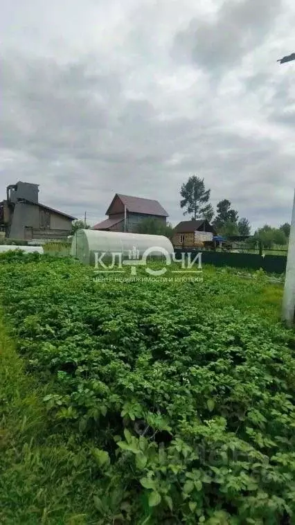 Дом в Иркутская область, Иркутск пос. Селиваниха, ул. Олонская (97 м) - Фото 2