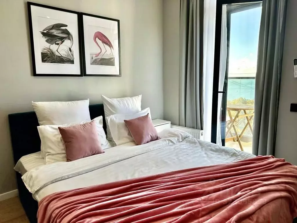 1-к кв. Краснодарский край, Сочи Бытха мкр, ул. Ясногорская, 16/2к1 ... - Фото 1