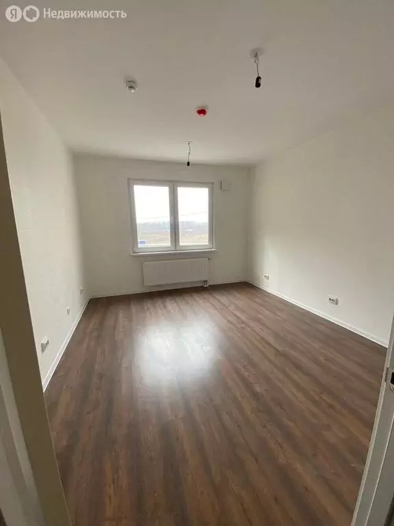 Квартира-студия: Санкт-Петербург, Муринская дорога, 31к1 (20 м) - Фото 0