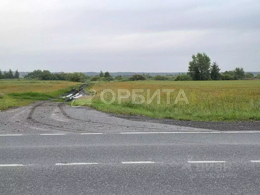 Участок в Тюменская область, Тюменский район, с. Мальково Новая ул., ... - Фото 0