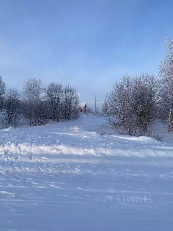 Участок в Чувашия, Моргаушский муниципальный округ, д. Чебелькасы  ... - Фото 2