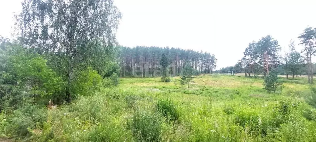 Участок в Псковская область, Печоры Сосновый Бор садовое дачное ... - Фото 1