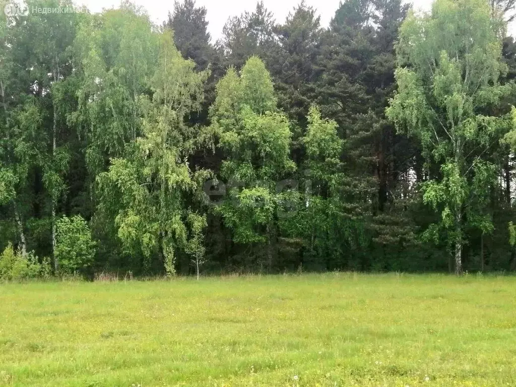 Участок в село Проскоково, Лесная улица (15 м) - Фото 2