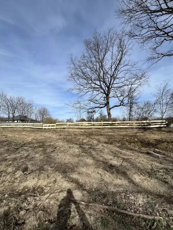 Участок в Краснодарский край, Апшеронский район, Нефтегорское ... - Фото 2