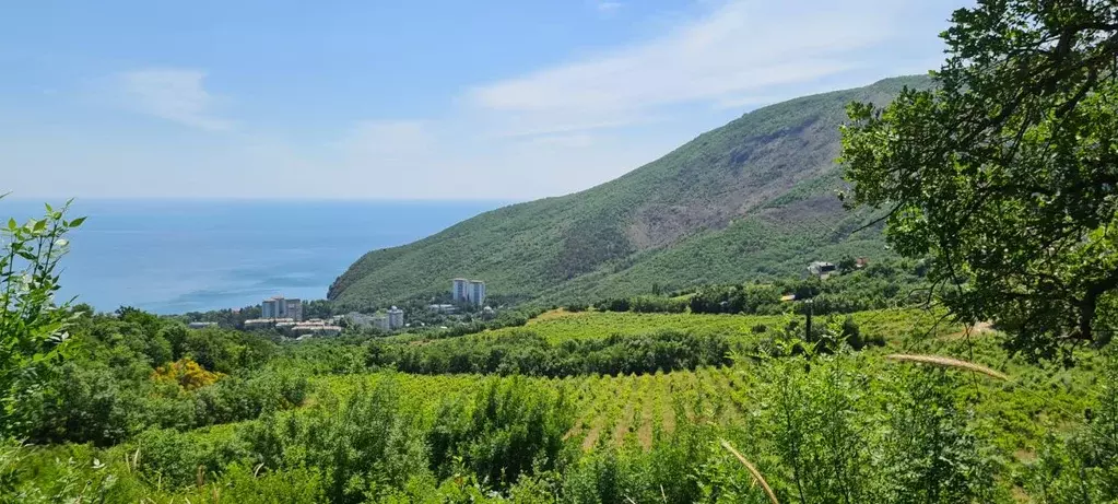 Участок в Крым, Алушта городской округ, с. Лавровое  (50.0 сот.) - Фото 0