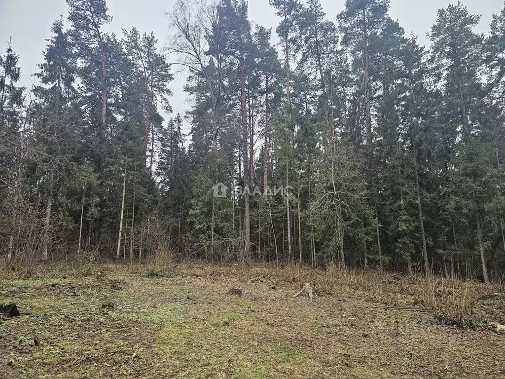 Таунхаус в Владимирская область, Камешковский муниципальный округ, д. ... - Фото 2