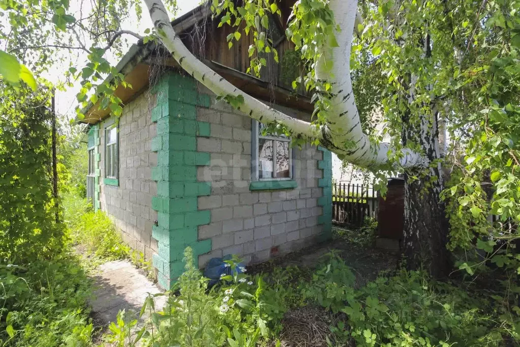 Дом в Омская область, Омск Содружество-2 СОСН, аллея 5-я (30 м) - Фото 1