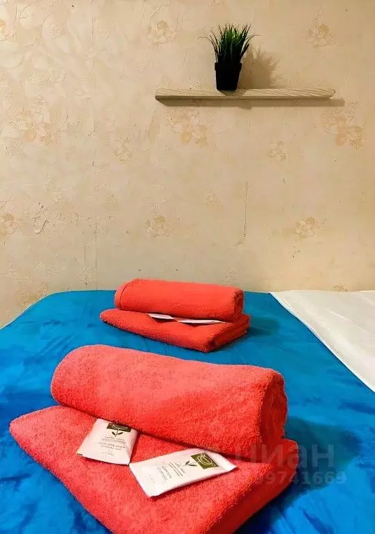 1-к кв. Татарстан, Казань ул. Серова, 31 (39.0 м) - Фото 1