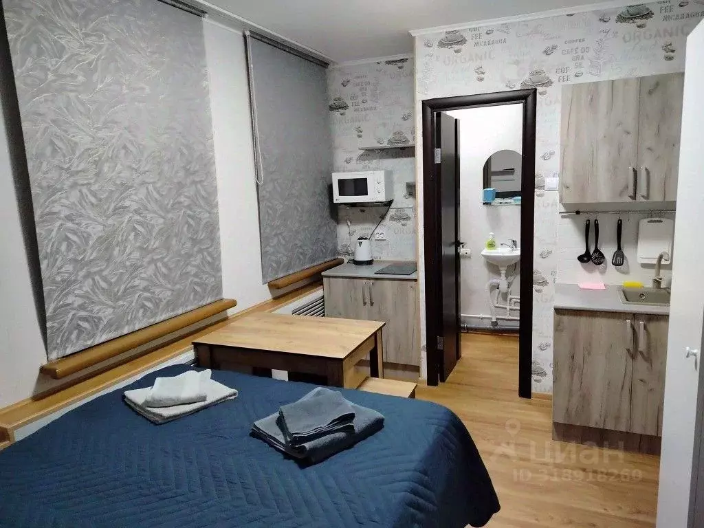 1-к кв. Нижегородская область, Нижний Новгород ул. Даля, 34 (16.0 м) - Фото 1