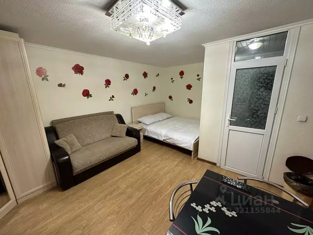 Студия Ставропольский край, Кисловодск ул. Кольцова, 24 (20.0 м) - Фото 1