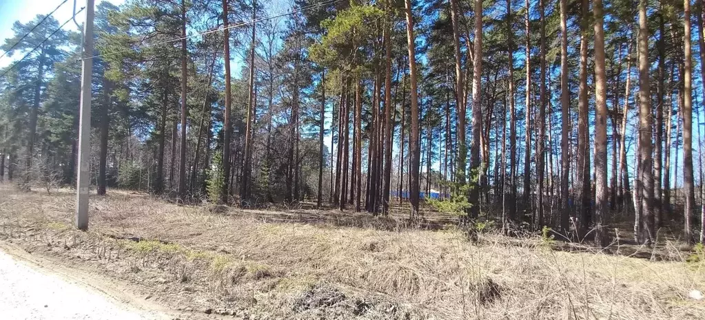Участок в Свердловская область, Екатеринбург муниципальное ... - Фото 1