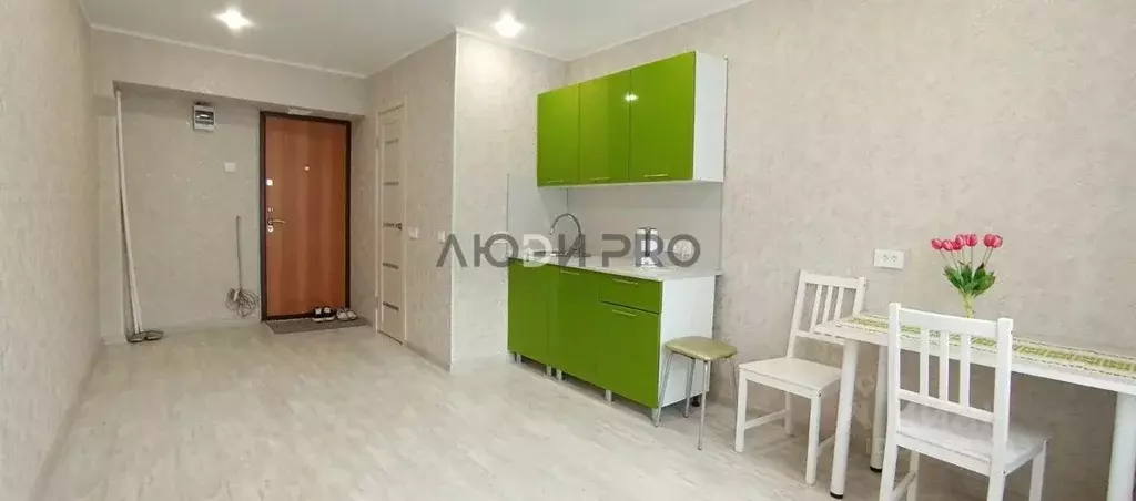 Студия Башкортостан, Уфа ул. Победы, 45 (19.0 м) - Фото 2