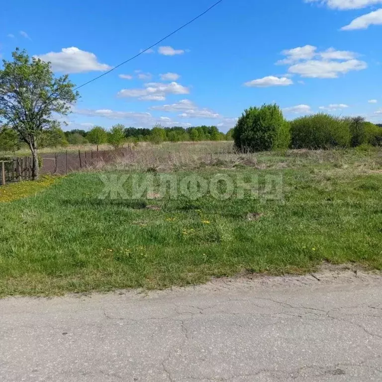 Участок в Брянская область, Карачевский район, Верхопольское с/пос, с. ... - Фото 1