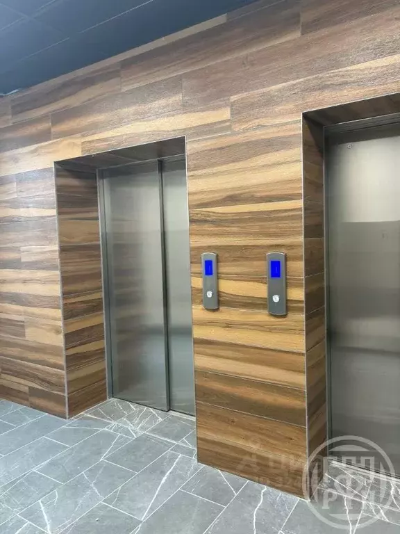 2-к кв. Санкт-Петербург Белоостровская ул., 10к2 (74.33 м) - Фото 2