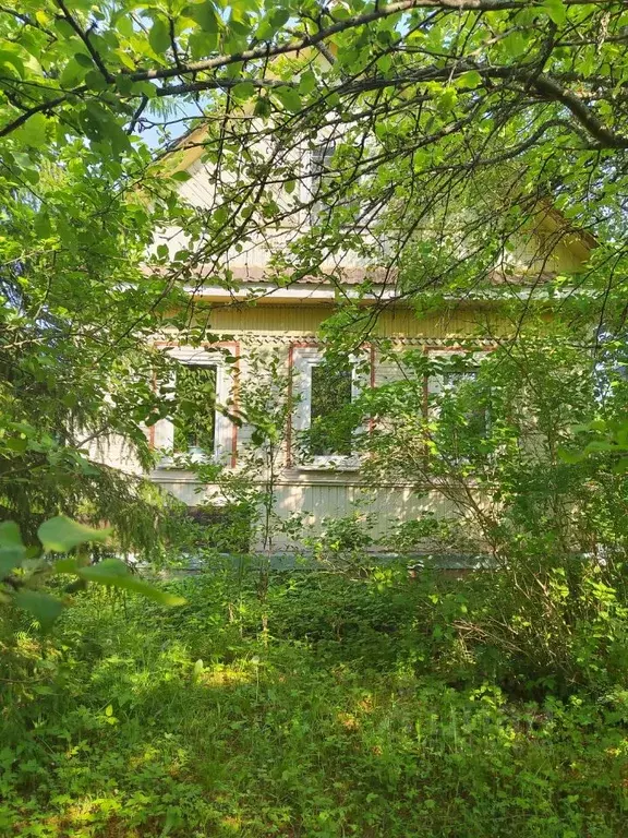 Дом в Ленинградская область, Гатчинский район, Дружная Горка городской ... - Фото 0