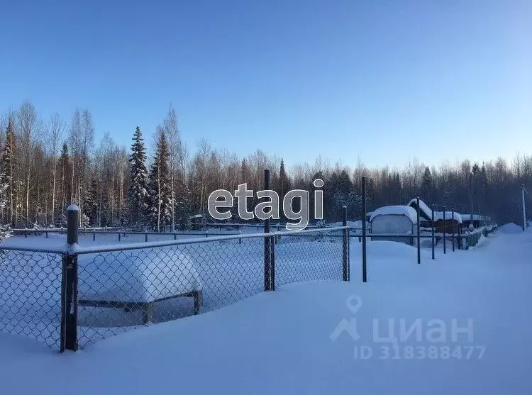 Участок в Ханты-Мансийский АО, Ханты-Мансийск Геофизик-2 СОТ, 521 ... - Фото 0