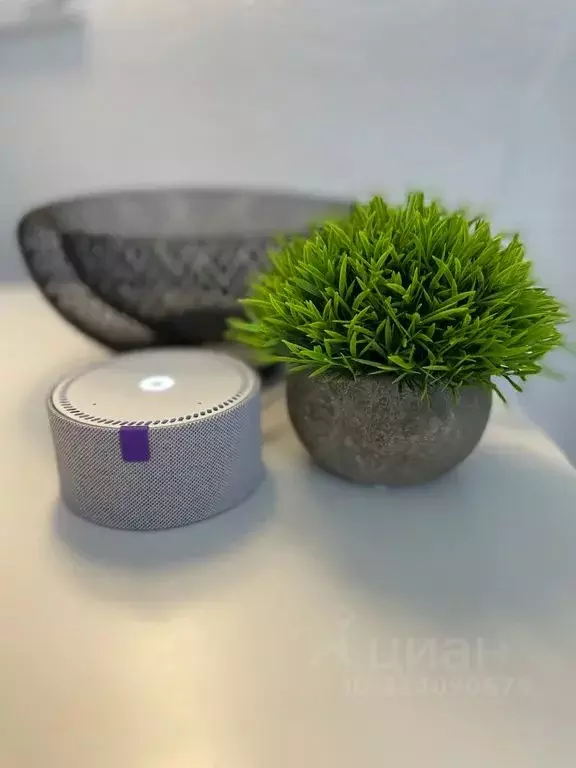 Студия Ярославская область, Ярославль ул. Городской Вал, 15к2 (21.0 м) - Фото 2