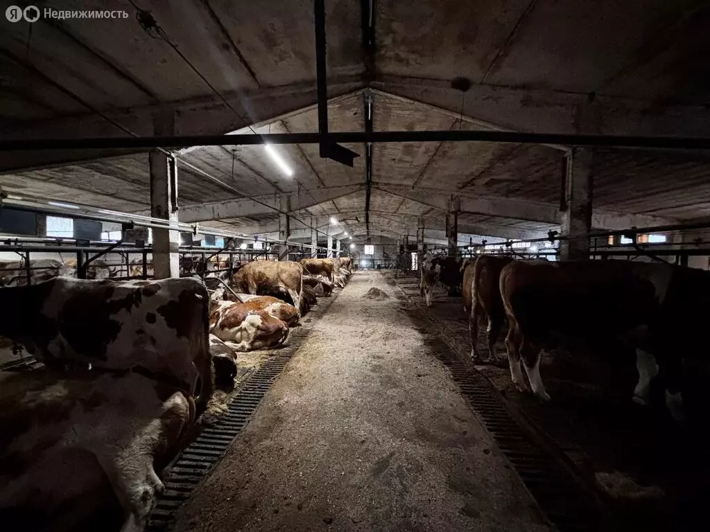 Производственное помещение (3350 м) - Фото 2